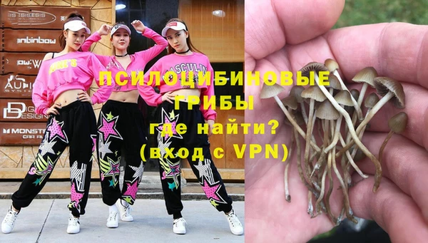 ГАЛЛЮЦИНОГЕННЫЕ ГРИБЫ Абаза
