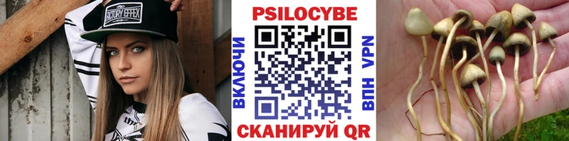 цены   Красноперекопск  Псилоцибиновые грибы Psilocybine cubensis 